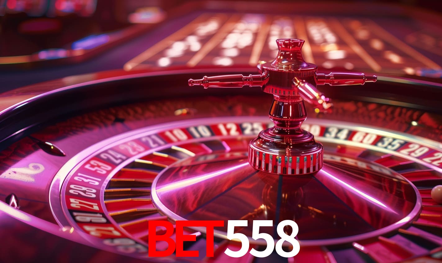 Torneios bet558